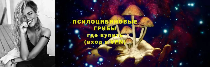 Псилоцибиновые грибы MAGIC MUSHROOMS  Зубцов 